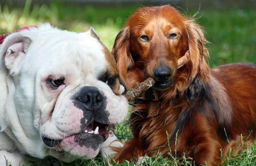 Ferienhaus Storchenblick - Foto 34