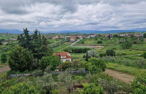 Sunflower Apartment - Foto 4