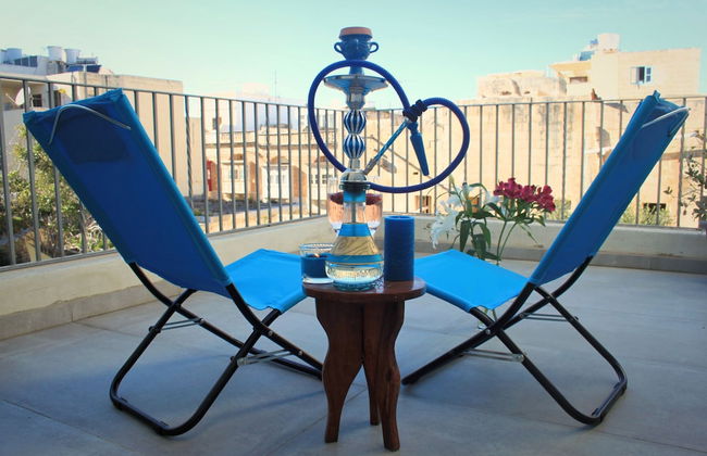 Maltese Maltese - Foto 38