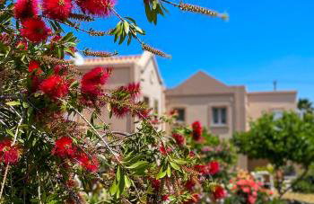 Casa Verde Houses - Photo 1