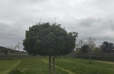 Belle maison Vallée du Lot. - Foto 34