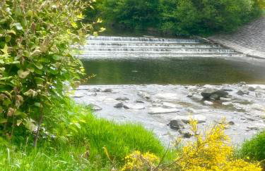 LAWENDOWA PRZYSTAŃ - dom nad rzeką - Brenna, 10 osób, sauna, balia z jacuzzi, ogród, plac zabaw - Foto 35