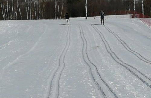 Miętowy Anioł - Foto 78