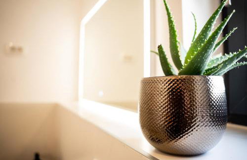 Villa Istra Relax Smaragd - Foto 36