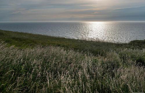 01- Villa La Précieuse en Front de mer - Jardin et Terrasse - Foto 21