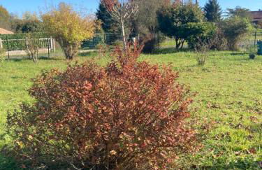 Au petit bonheur - Foto 13