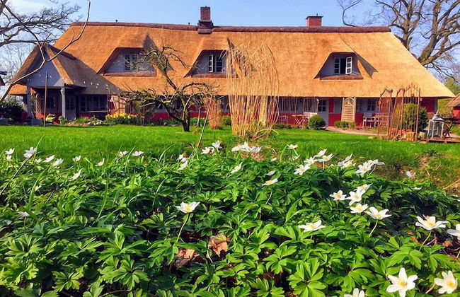 Wegekaten - Ferienwohnungen unter Reet - Foto 28