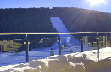 Black Forest Lodge - Photo 102