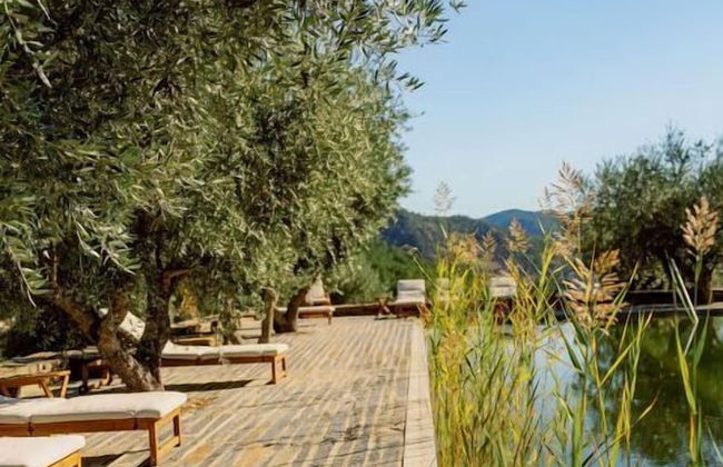 Quinta Vila Rachel - Photo 29