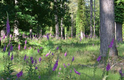 Bentley Cottage - Foto 21