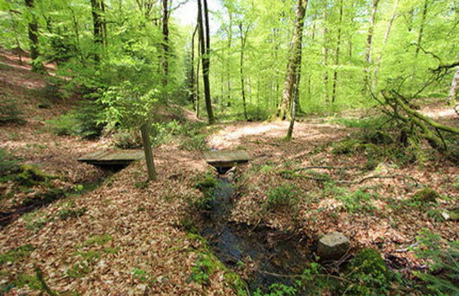Cosy, Spacious Holiday Home, Northern Vosges - Photo 26