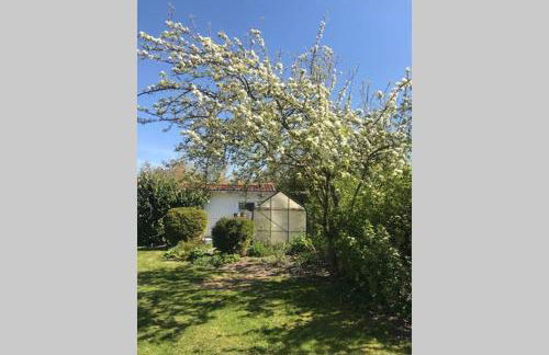 Gartenvilla@Baltic-Chalets - Foto 43