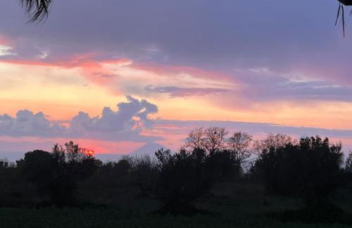 Agriturismo Manitta - Foto 13