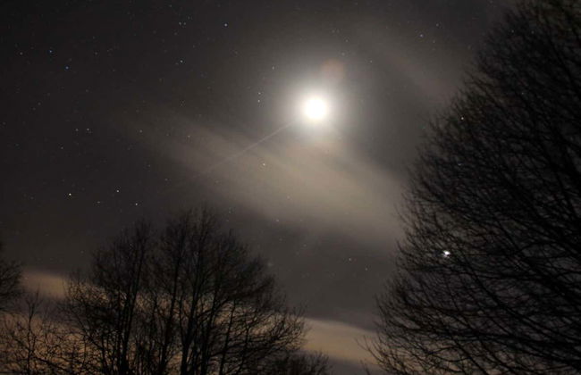 Observation des étoiles dans la forêt vettonne de Cabezabellosa - Photo 2