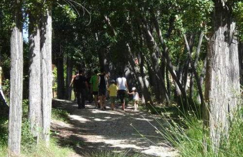 Casa Rural Casa Antiga - Foto 15