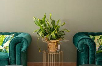 Caleyro Boutique Apartments - "Parking incluido" - Photo 66