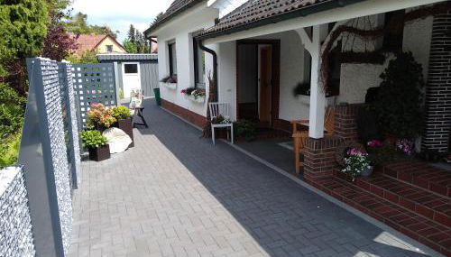 Tauchparadies Kreidesee - Foto 2