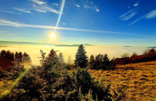 Ferienwohnung NatureOne - Foto 10