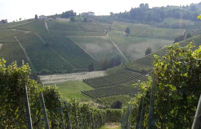 Mansion in Langhe With Pool and Winery Charm - Foto 31