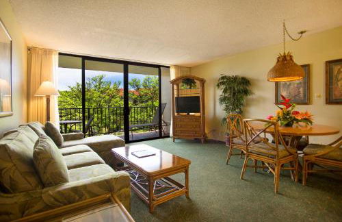 AEI at Kaanapali Shores - Photo 6