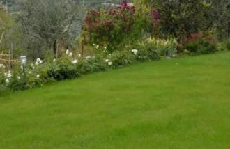 Agriturismo le Bartaline - Foto 8