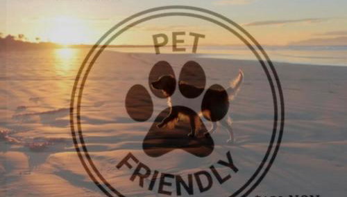 Lime in the Coconut - Foto 2