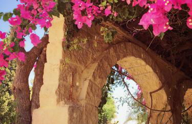 Casa Paraiso - Photo 20