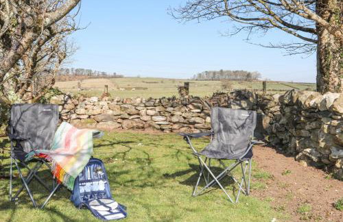 Cwt Mochyn - Foto 15