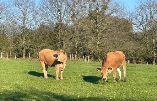 Gite Des Roses - Foto 2