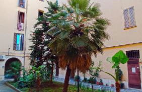 Mamomi HOUSE - Foto 55