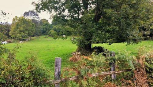 Sol de Asturias - Foto 3