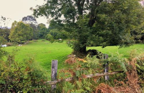 Sol de Asturias - Foto 3