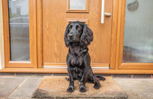 2 Bed in Dulverton oc-badger - Foto 18