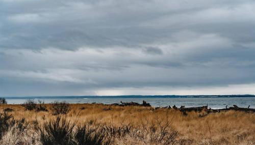 Oceans3 - Spectacular View 'N' Jetty Access - Foto 2