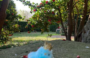 La mia casa sul lago con vista mozzafiato - Foto 48