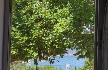 Sofias house at Agkona Kefalonia - Foto 17
