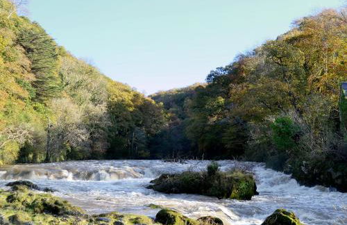 Elm Cottage-W40630 - Foto 17