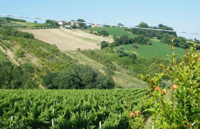 Agriturismo Biologico la Casa degli Gnomi - Foto 32