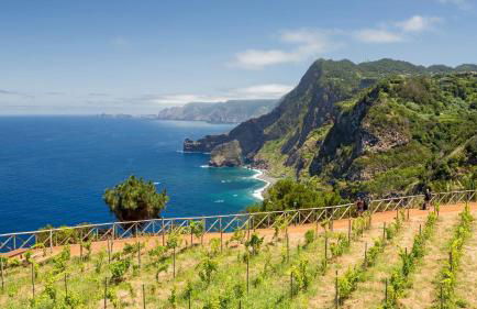 Quintinha do Álvaro - Holiday house - Foto 79