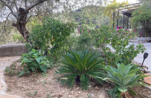 Casita La Pura Vida Yunquera - Foto 21