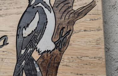 Casa vacanze il Picchio Rosso - Photo 21