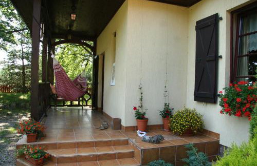 Lisi Dwór - Foto 21