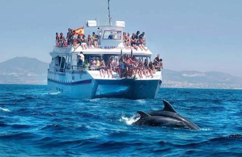 Apartamento Boutique Miramar Playa, Garaje opcional - Photo 33