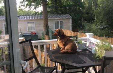 Shangri la at Beauport - Foto 36