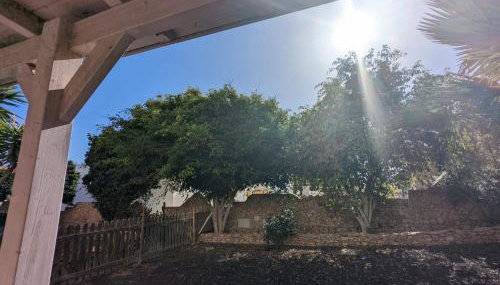 Costa Calma Apartment OASIS - Foto 5, Garden, Garden view