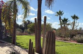 Finca El Idilio - Foto 8