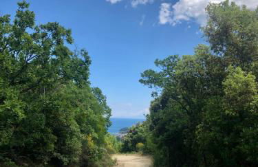 Garden Residence - Foto 43