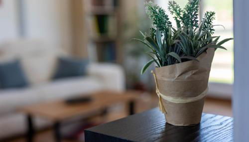 Gîte de la Grange 12km de Gérardmer - Foto 4