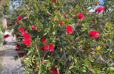 Villa Matovica - Photo 73