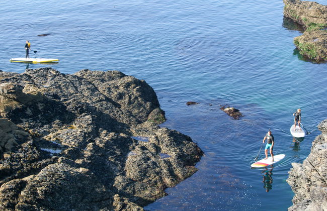 Les Roches - Foto 33